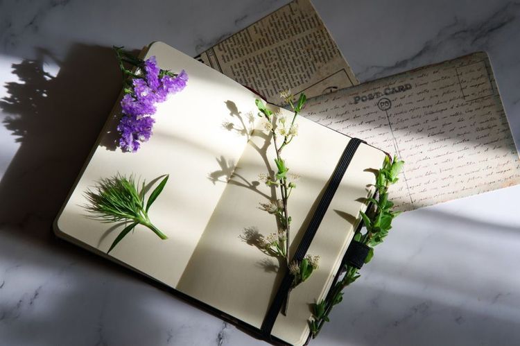 Diario di riflessione coranica: 7 domande per approfondire un versetto alla volta